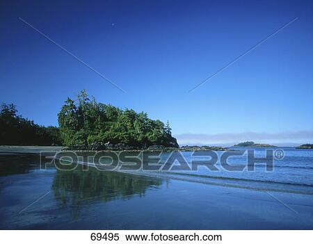 Stock Photography - Beach under clear blue sky at dusk, Vancouver Island, Canada . Fotosearch