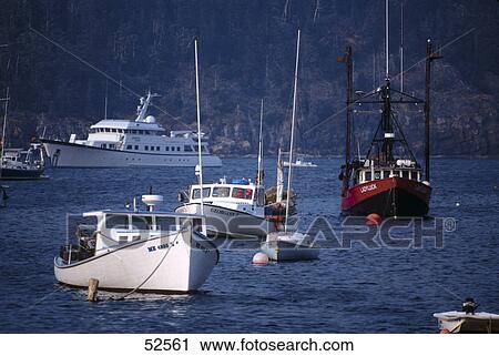 Boats in sea, Belfast, Waldo County, Maine, USA View Large Photo Image Stock Image - Boats in sea, Belfast, Waldo County, Maine, USA . Fotosearch