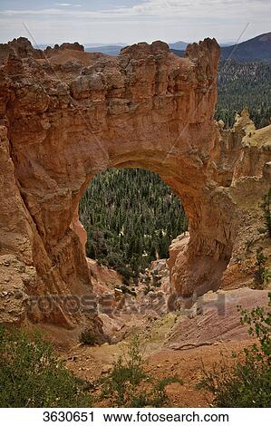 Stock Image - Bryce Canyon National Park, Utah, USA . Fotosearch