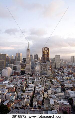 City view from Coit Tower, San Francisco, California, USA View Large Photo Image Stock Image - City view from Coit Tower, San Francisco, California, USA . Fotosearch