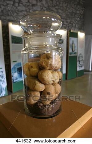 Stock Image - Close-up of airtight jar, Famine Museum, Ireland . Fotosearch