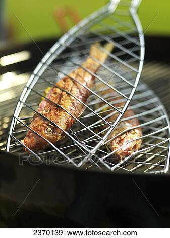 Stock Photo - Close-up of fish on barbecue grill . Fotosearch