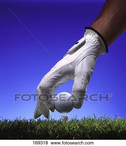 Stock Photo - Close-up of person wearing golf glove and holding golf ball . Fotosearch