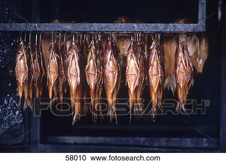 Stock Image - Close-up of smoked fish, Bavaria, Germany Europe . Fotosearch