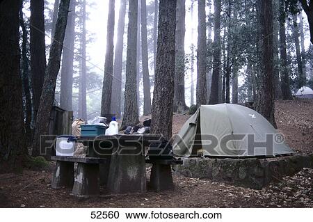 Stock Image - Dome tent in forest . Fotosearch