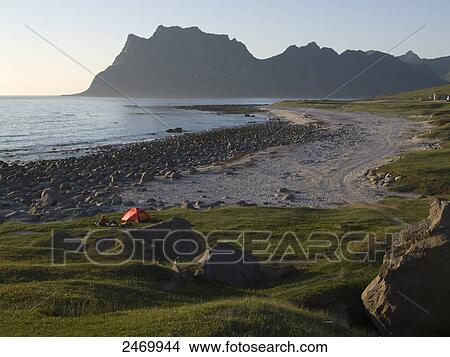 Picture - Dome tent on beach, Utakleiv, Lofoten, Nordland County, Norway . Fotosearch