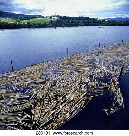 Stock Image - Drift woods floating in fenced waterway . Fotosearch