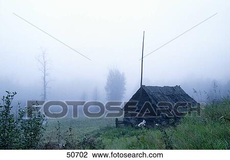 Stock Image - Farm in field, Wells Gray Provincial Park, British Columbia, Canada . Fotosearch