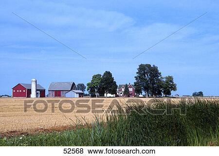 Stock Photo - Farm with houses in background, Sebewaing, Highway M-25, Huron County, Michigan, USA . Fotosearch
