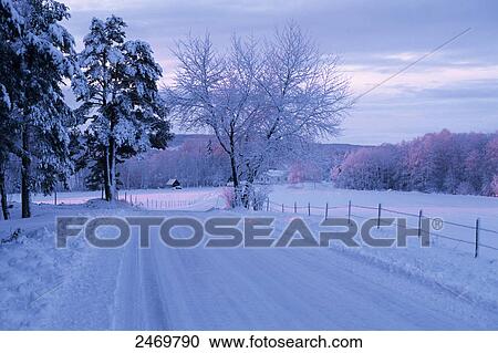 Stock Image - Frozen trees on polar landscape, Hoeghult, Tibro, Sweden . Fotosearch
