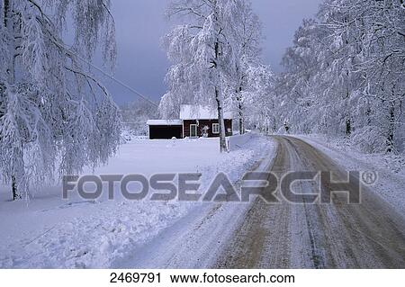 Stock Image - Frozen trees on polar landscape, Hoeghult, Tibro, Sweden . Fotosearch