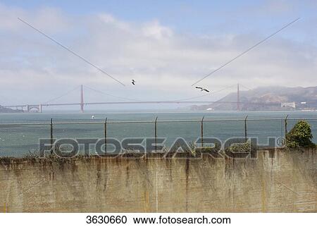 Stock Image - Golden Gate Bridge, San Francisco, California, USA . Fotosearch