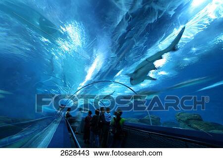 Stock Image - Group of people at aquarium . Fotosearch