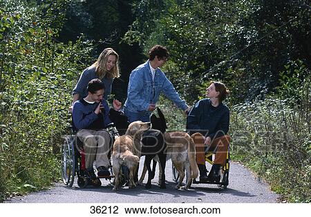 Handicapped people with dogs in park View Large Photo Image Stock Image - Handicapped people with dogs in park . Fotosearch