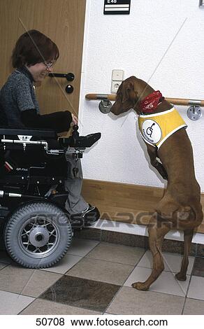 Handicapped woman playing with dog View Large Photo Image Stock Photo - Handicapped woman playing with dog . Fotosearch