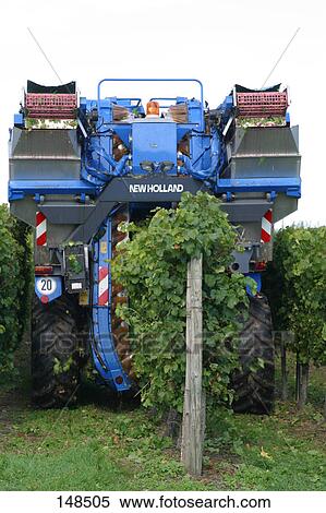 Harvester in vineyard View Large Photo Image Stock Photography - Harvester in vineyard . Fotosearch