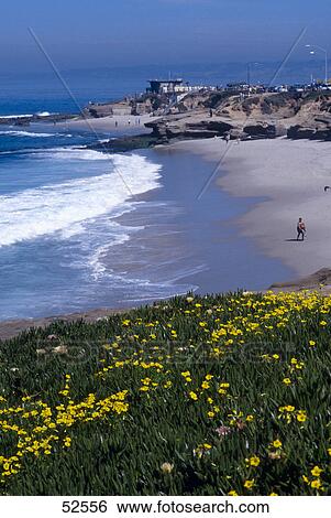 High angle view of beach, Wipeout Beach, La Jolla, San Diego, San Diego County, California, USA View Large Photo Image Stock Photograph - High angle view of beach, Wipeout Beach, La Jolla, San Diego, San Diego County, California, USA . Fotosearch