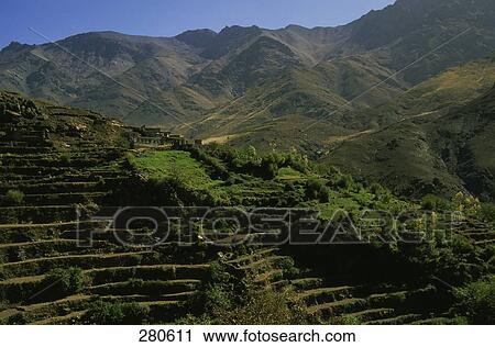 High angle view of terraced farms, Morocco View Large Photo Image Stock Image - High angle view of terraced farms, Morocco . Fotosearch