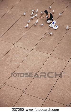Stock Image - High angle view of woman feeding seagulls at city square . Fotosearch