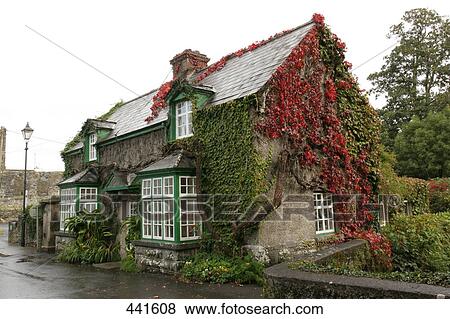 House on roadside covered with ivy, Republic of Ireland View Large Photo Image Stock Photo - House on roadside covered with ivy, Republic of Ireland . Fotosearch
