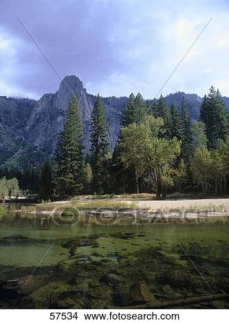 Picture - Lake in a forest, Yosemite National Park, California, USA . Fotosearch