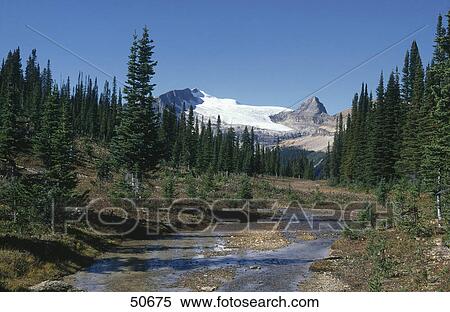 Stock Photography - Lake in forest, Kinney Lake, Mount Robson Provincial Park, British Columbia, Canada . Fotosearch