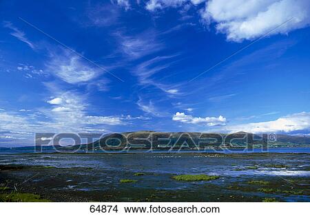 Picture - Lake in front of mountains, Varlingford Lough, Co Louth, Ireland . Fotosearch
