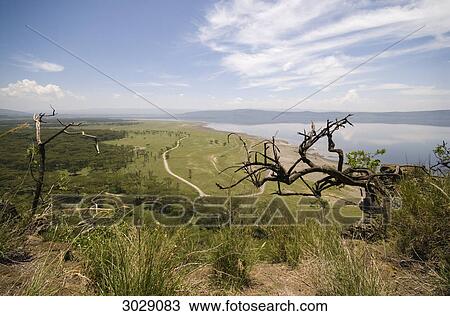 Landscape and view on lake Nakuru, Lake Nakuru National Park, Kenya, high angle view View Large Photo Image Stock Image - Landscape and view on lake Nakuru, Lake Nakuru National Park, Kenya, high angle view . Fotosearch