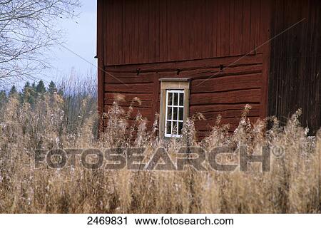 Long grass in front of torp, Sweden  View Large Photo Image Stock Image - Long grass in front of torp, Sweden . Fotosearch