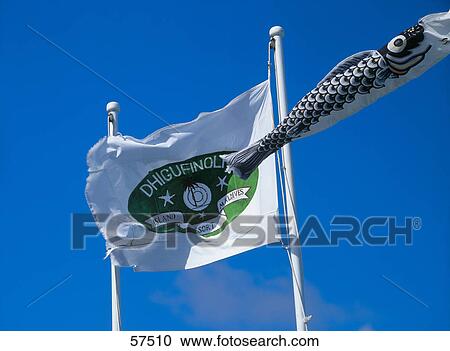 Stock Image - Low angle view of flags, Maldives, Asia . Fotosearch
