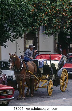 Stock Photography - Man sitting on horse drawn carriage, Cordoba, Andalusia, Spain . Fotosearch