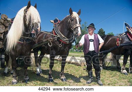 Picture - Man standing beside horse cart, Munich, Bavaria, Germany . Fotosearch
