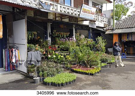 Market, Bedugul, Bali, Indonesia, Asia View Large Photo Image Stock Photograph - Market, Bedugul, Bali, Indonesia, Asia . Fotosearch
