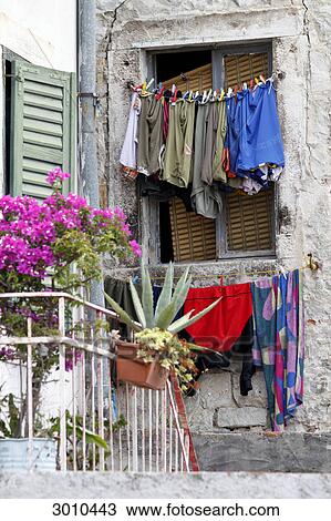 Stock Image - Mediterranean plants and laundry line in front of a window, Split, Croatia . Fotosearch