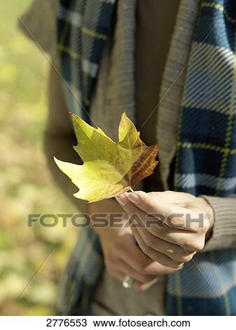 Stock Image - Mid section view of woman holding leaf in park . Fotosearch