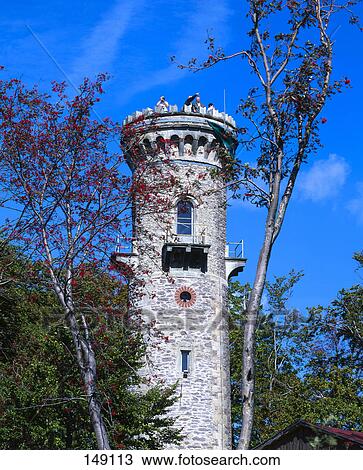 Stock Image - Observation point tower in forest, Germany . Fotosearch