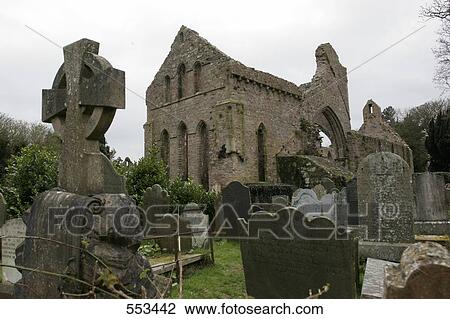 Stock Image - Old ruins of abbey, Grey Abbey, Greyabbey, County Down, Ireland . Fotosearch