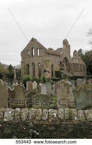 Stock Image - Old ruins of abbey, Grey Abbey, Greyabbey, County Down, Ireland . Fotosearch