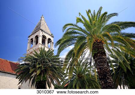 Stock Photo - Palm trees in front of church spire of Sveti Nikola Monastery, Trogir, Croatia, low angle view . Fotosearch