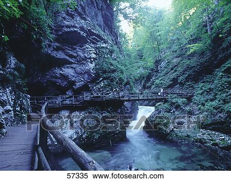 Person crossing a bridge across the river, Triglav National Park, Slovenia View Large Photo Image Stock Photography - Person crossing a bridge across the river, Triglav National Park, Slovenia . Fotosearch