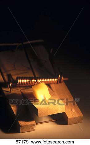 Stock Photo - Piece of cheese on mousetrap . Fotosearch
