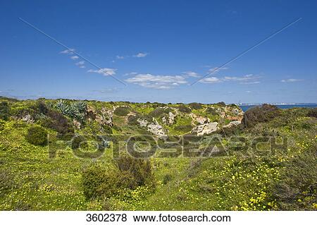 Ponta da Piedade, Lagos, Algarve, Portugal View Large Photo Image Stock Photo - Ponta da Piedade, Lagos, Algarve, Portugal . Fotosearch