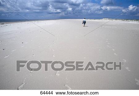 Picture - Rear view of a person walking on the beach, Amrum, Germany . Fotosearch