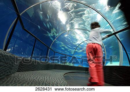 Stock Image - Rear view of child at aquarium . Fotosearch