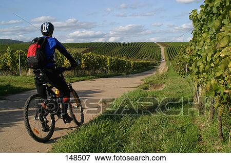 Stock Photo - Rear view of man sitting on bicycle . Fotosearch