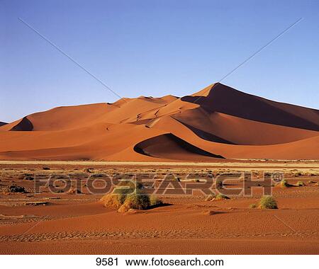 Red sand dunes in desert, Sossusvlei, Namib-Naukluft National Park, Namibia View Large Photo Image Stock Image - Red sand dunes in desert, Sossusvlei, Namib-Naukluft National Park, Namibia . Fotosearch