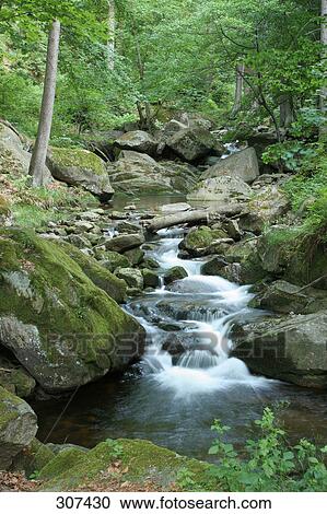 River flowing though forest View Large Photo Image Stock Image - River flowing though forest . Fotosearch