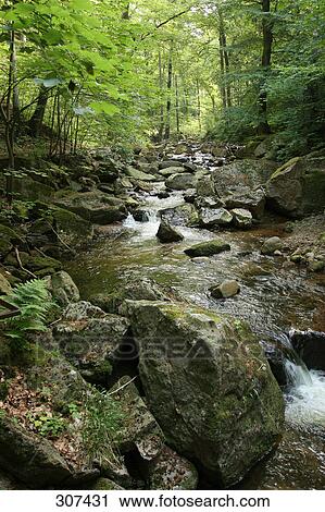 River flowing though forest View Large Photo Image Stock Image - River flowing though forest . Fotosearch