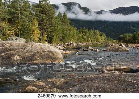 River flowing through forest, Norway View Large Photo Image Stock Photo - River flowing through forest, Norway . Fotosearch