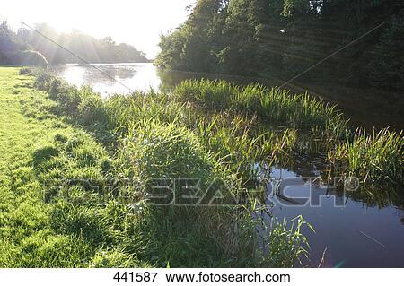 River flowing through landscape, County Mayo, Ireland View Large Photo Image Stock Photo - River flowing through landscape, County Mayo, Ireland . Fotosearch